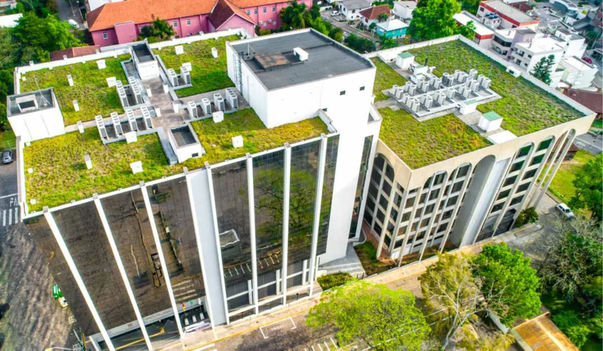 Green roofs and vertical gardens