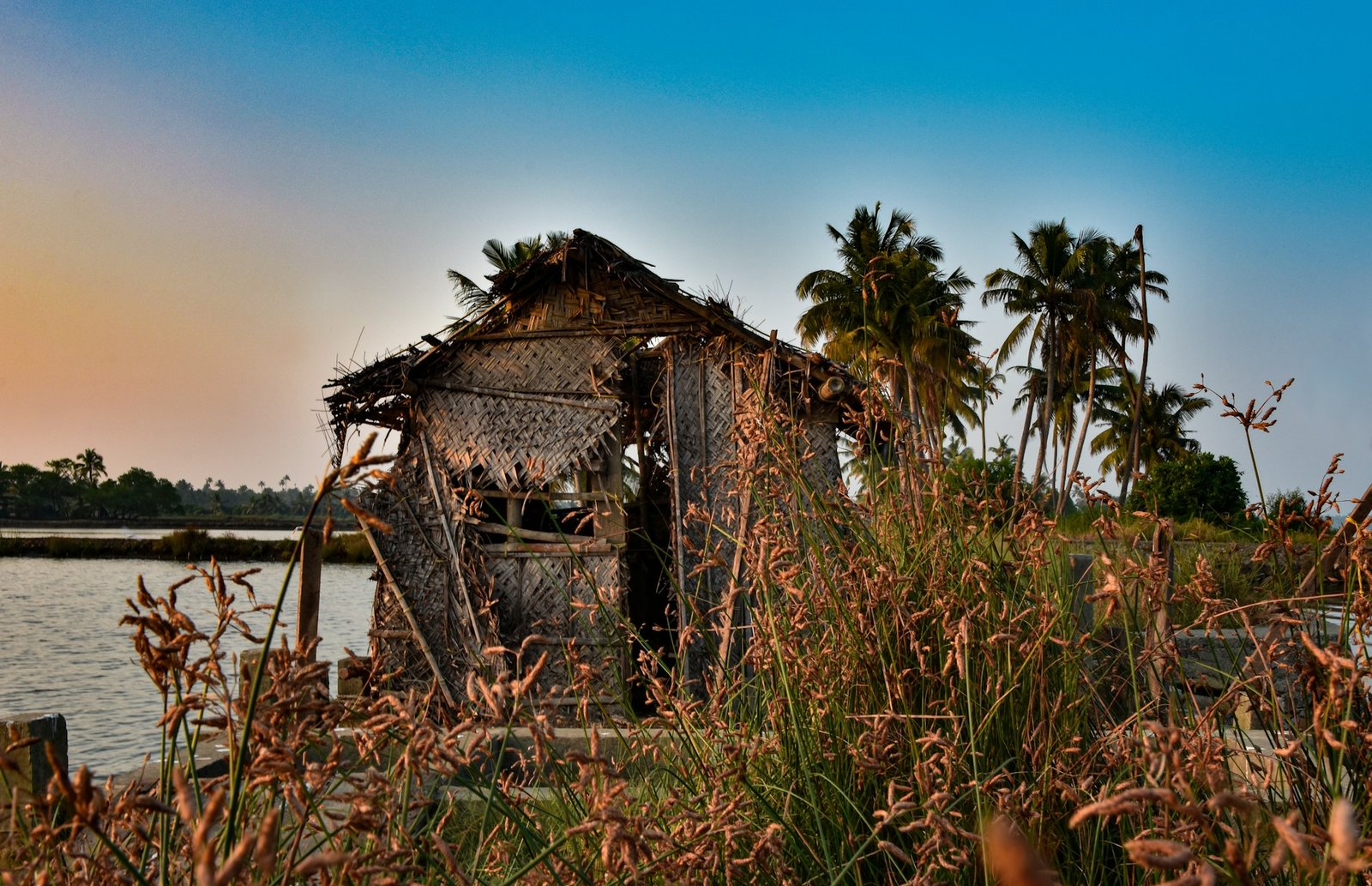 Eco-friendly houses in Kerala: A Blueprint for Sustainable Living