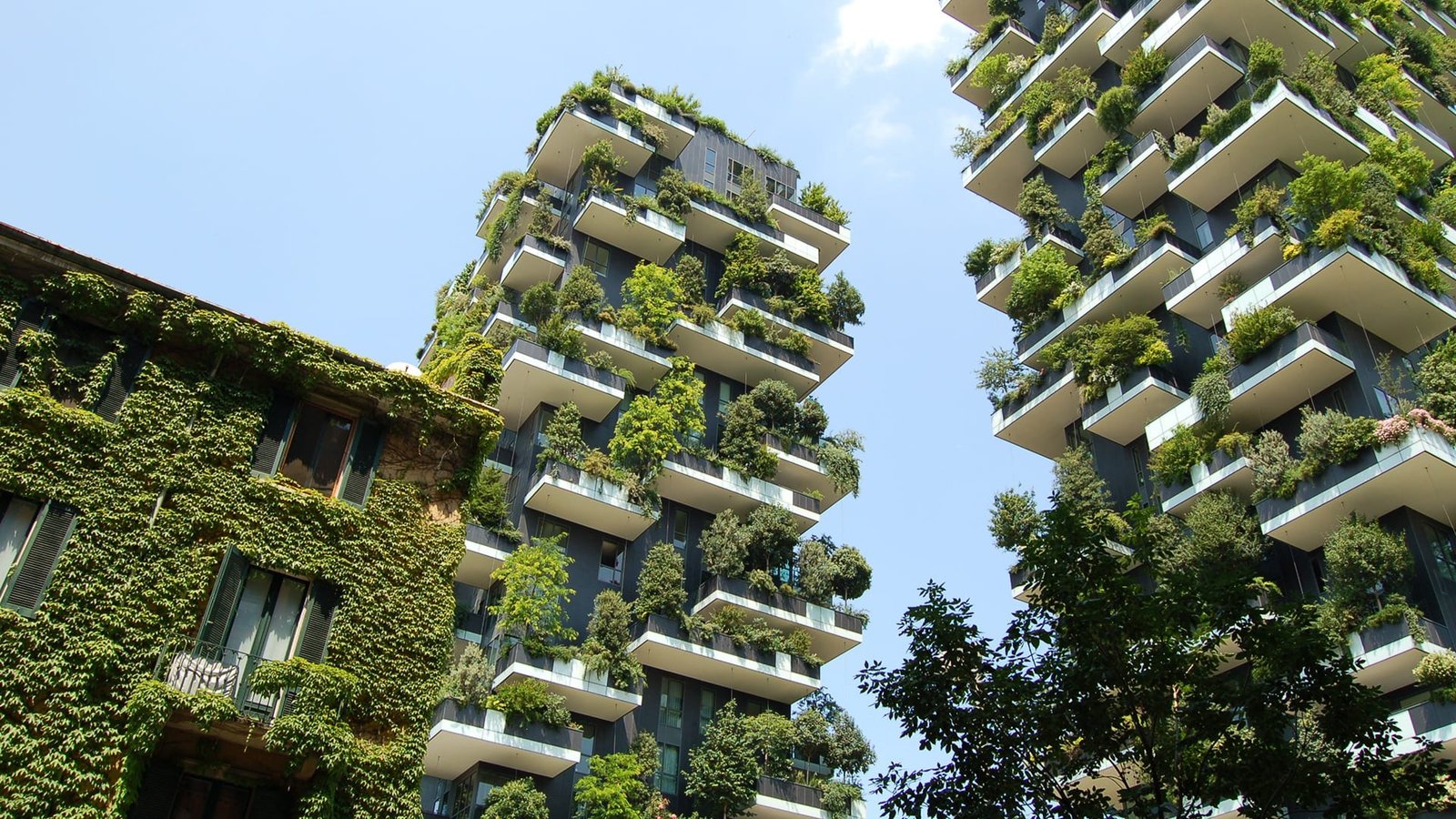 The Future of Sustainable Building